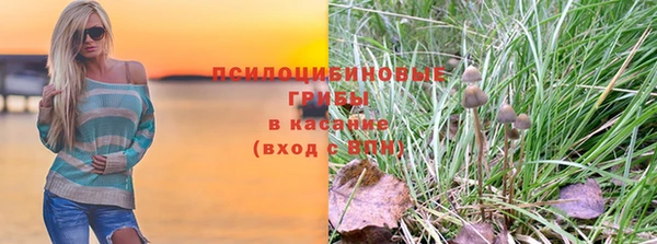 прущая мука Зеленокумск