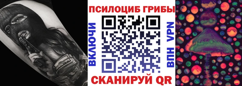 Псилоцибиновые грибы мицелий Ефремов