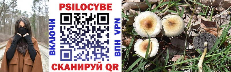 Галлюциногенные грибы GOLDEN TEACHER  Купить закладки  Ефремов 